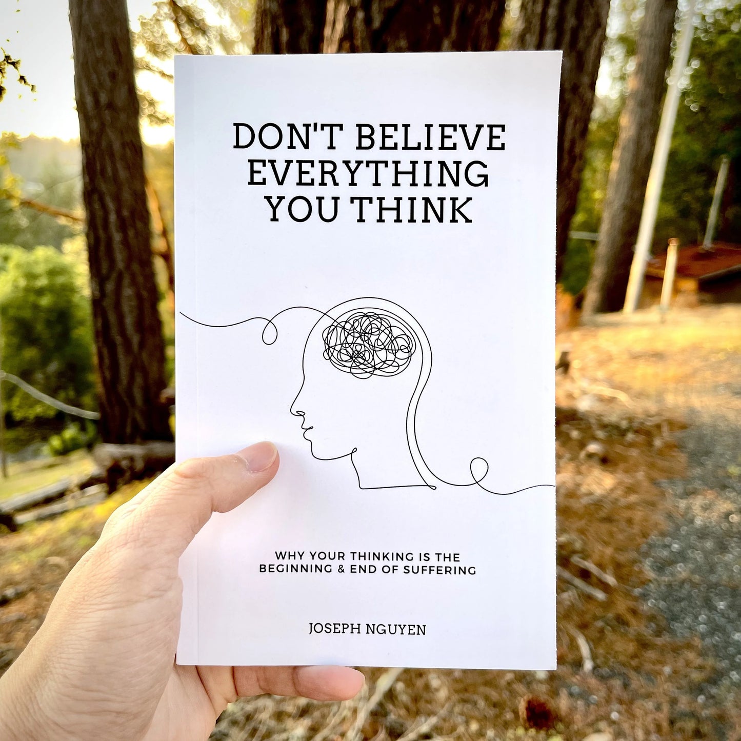 "Don't Believe Everything You Think" - By Joseph Nguyen